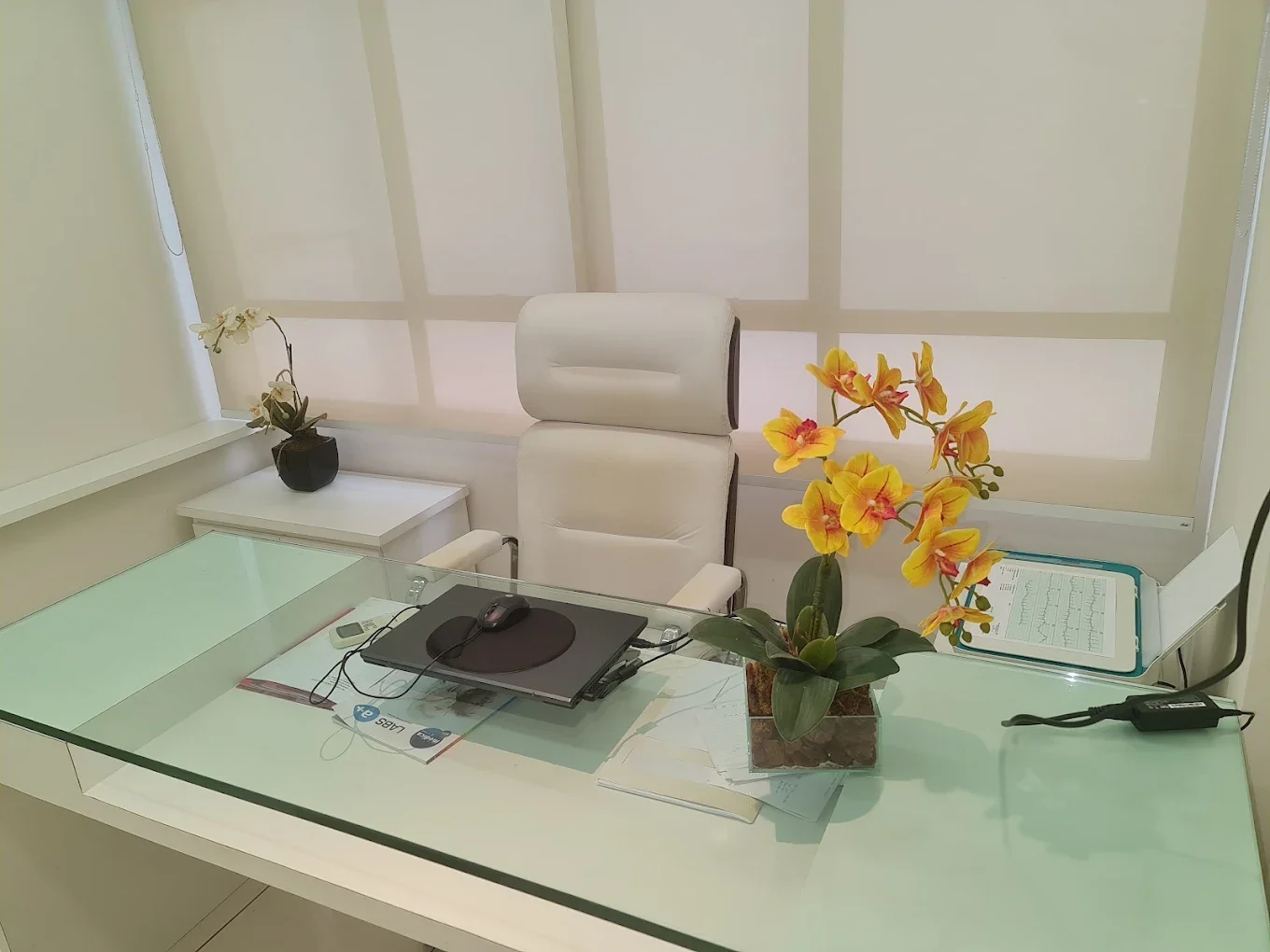 Detalhe da sala da Dra. Cynthia com poltrona e orquídeas